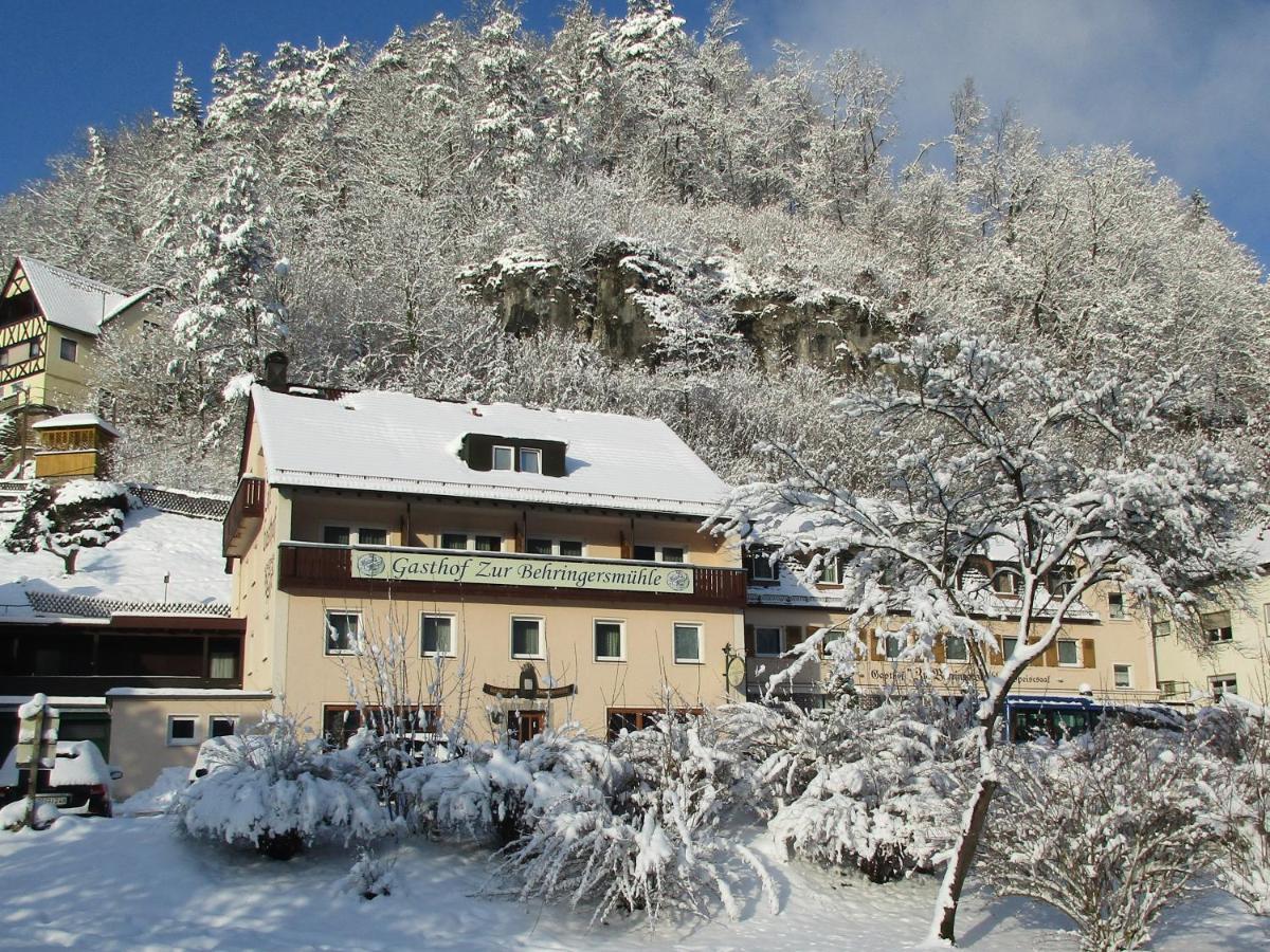 מלון גוסוויינשטיין Gasthof Zur Behringersmuhle מראה חיצוני תמונה